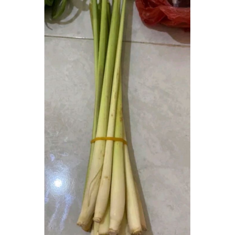 

Batang Serai / Sereh Per Ikat