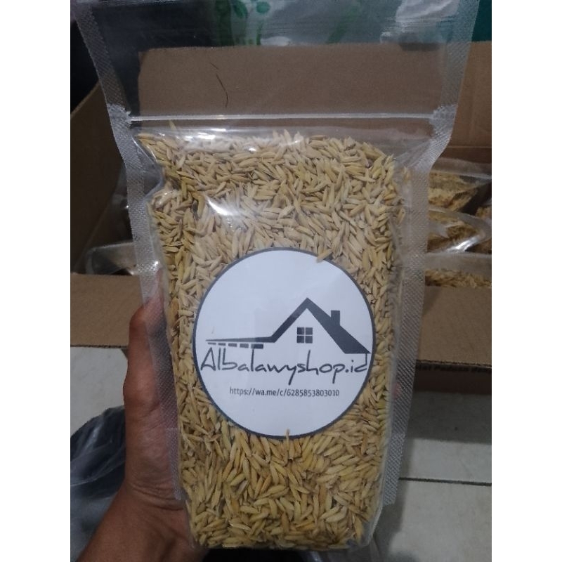 BENIH PADI CIBERES/CBR 02 (1kg/1000gr)