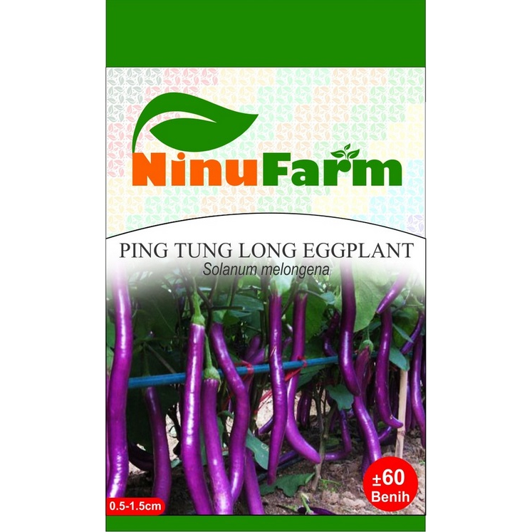 BENIH TERONG UNGU PANJANG - PINGTUNG LONG EGGPLANT - NINUFARM - 60 BTR