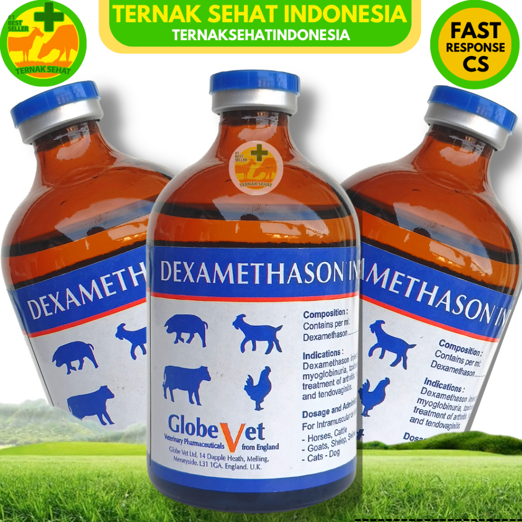 DEXA GLOBE VET 100 ml - DEXAMETHASON PANTEX HOLLAND