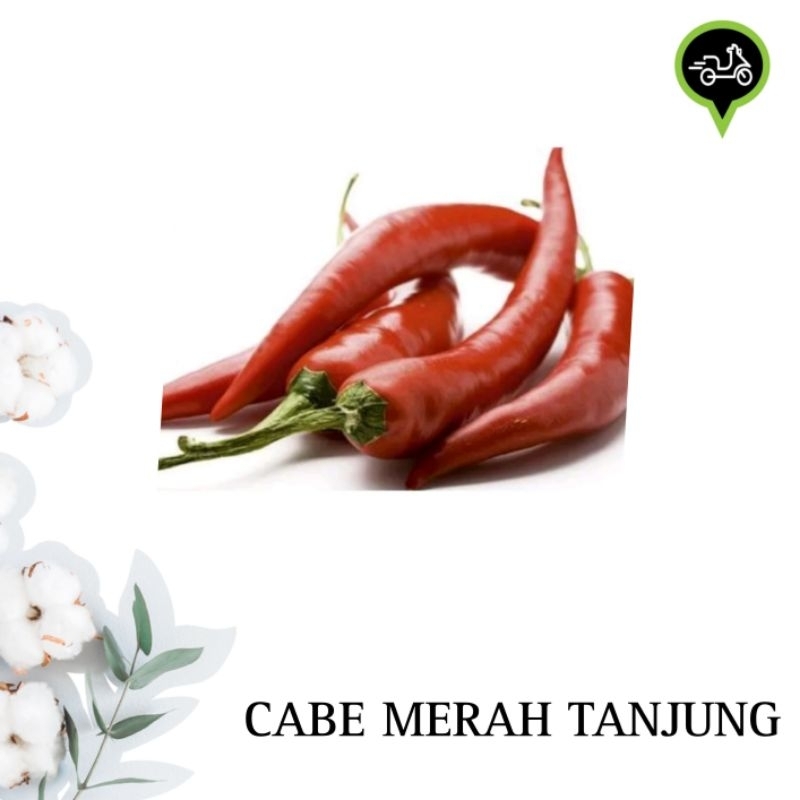 

Cabe merah