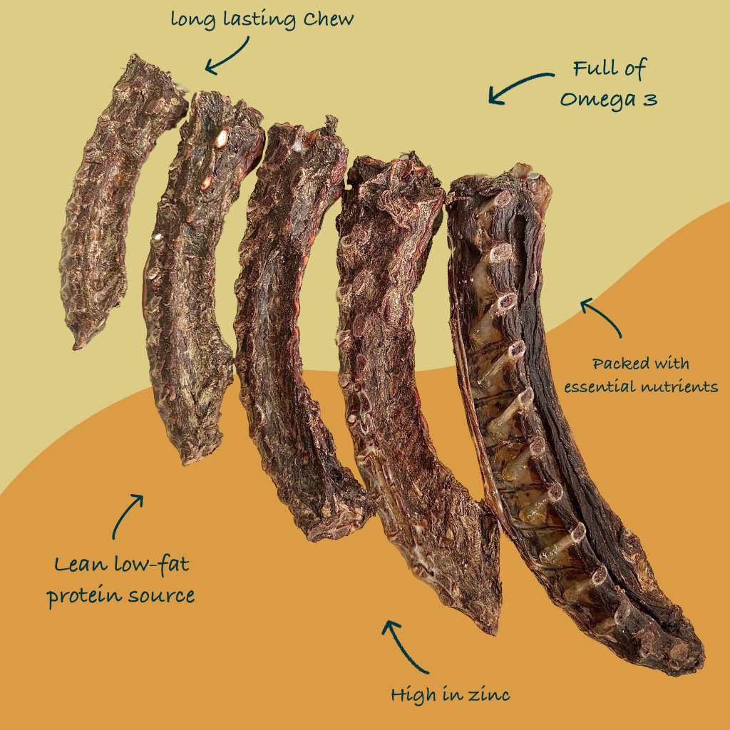 Dehydrated Kangaroo Neck / Leher Kangaroo