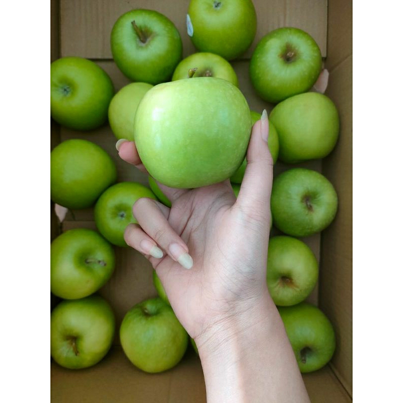 900gr-1000gr buah apel import granny smith apel hijau ready stock
