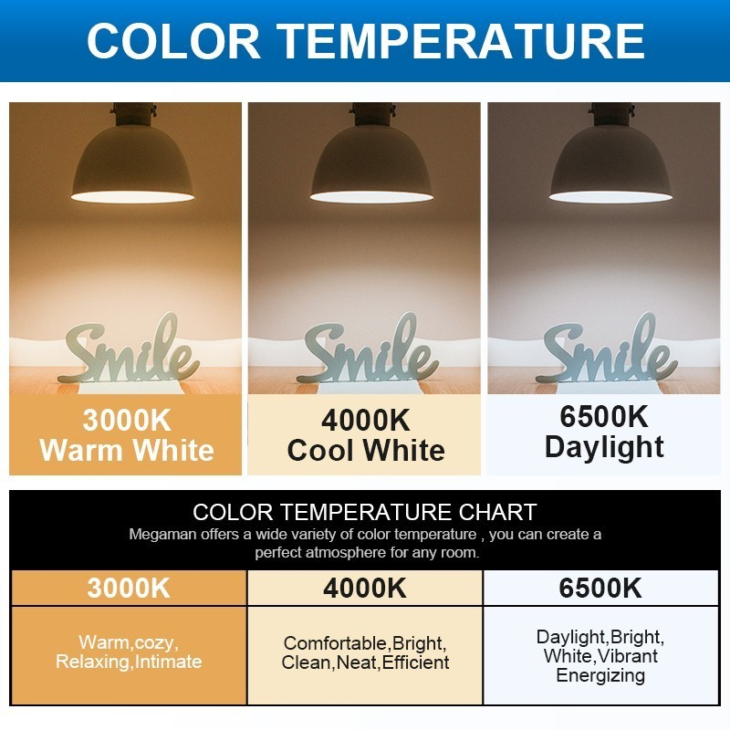 Megaman Lampu Bohlam LED YTG45Z1 3W 3000K / 6500K