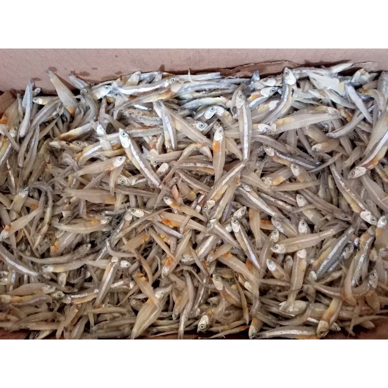 

ikan teri jengki asin 1kg