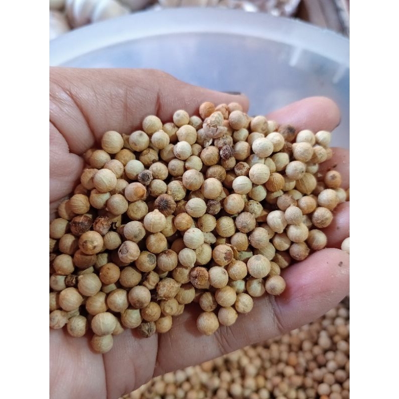 

lada biji asli pedas/ merica biji asli 100g