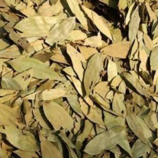 

TERBAIK HERBAL DAUN KAYU MANIS KERING -1 KG