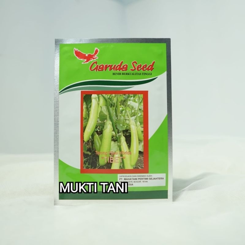 Benih Terong Hijau F1 Tibet 5 gram | Bibit Terong Hijau F1