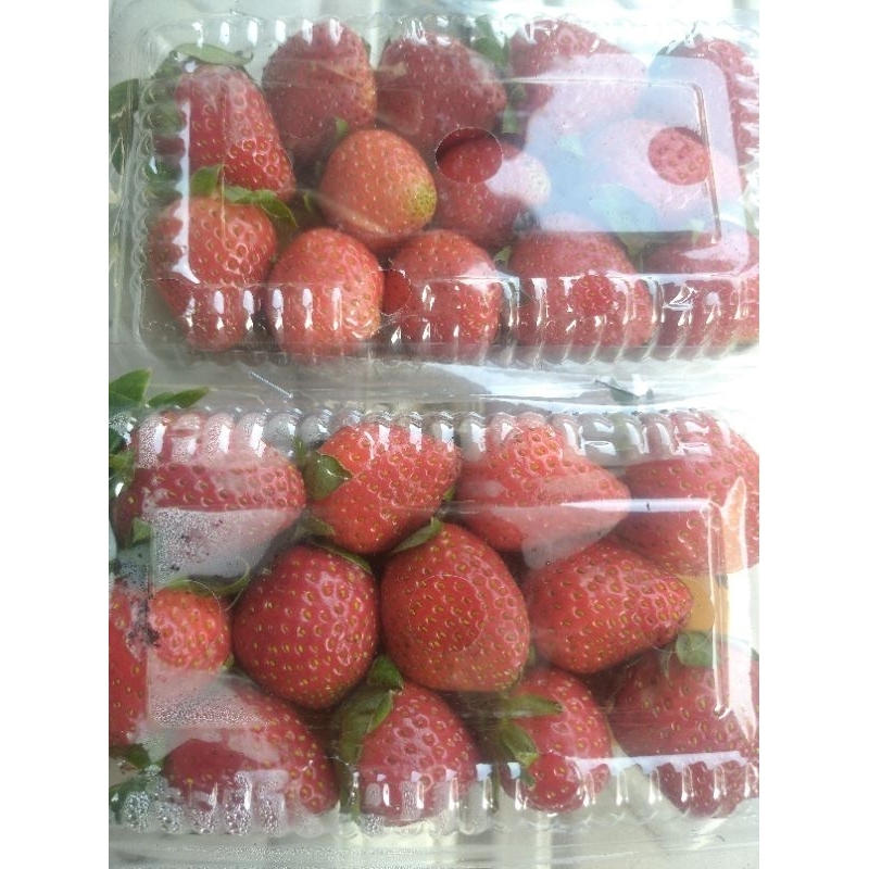 

STRAWBERRY BUAH SEGAR