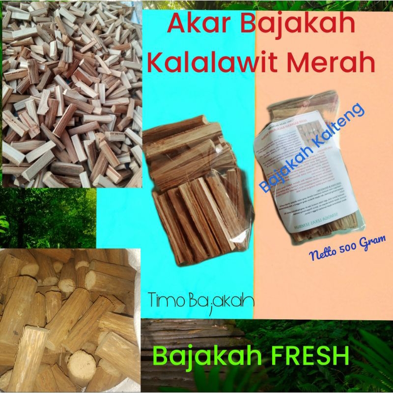 

kalawit batangan