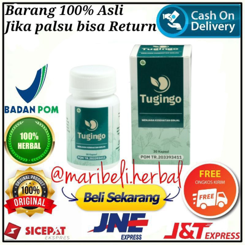 Tugingo Asli Original Tugingo Kapsul Herbal Atasi Batu Ginjal Manjur