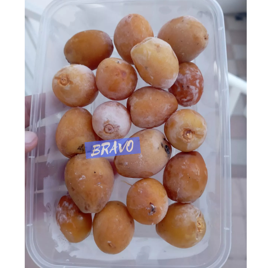 

READY KURMA MUDA BARHEE MANIS KURMA MUDA BERKHASIAT UNTUK PROMIL kurma muda LIMITED EDITION Masih fresh dan Kriuk