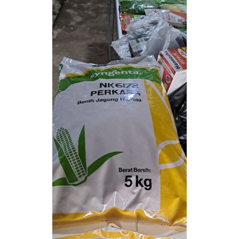 Bibit Jagung Hibrida Syngenta PERKASA NK6172 5 Kg