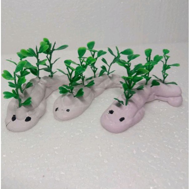 Rumput Mini Suket Jukut Hiasan Aquarium