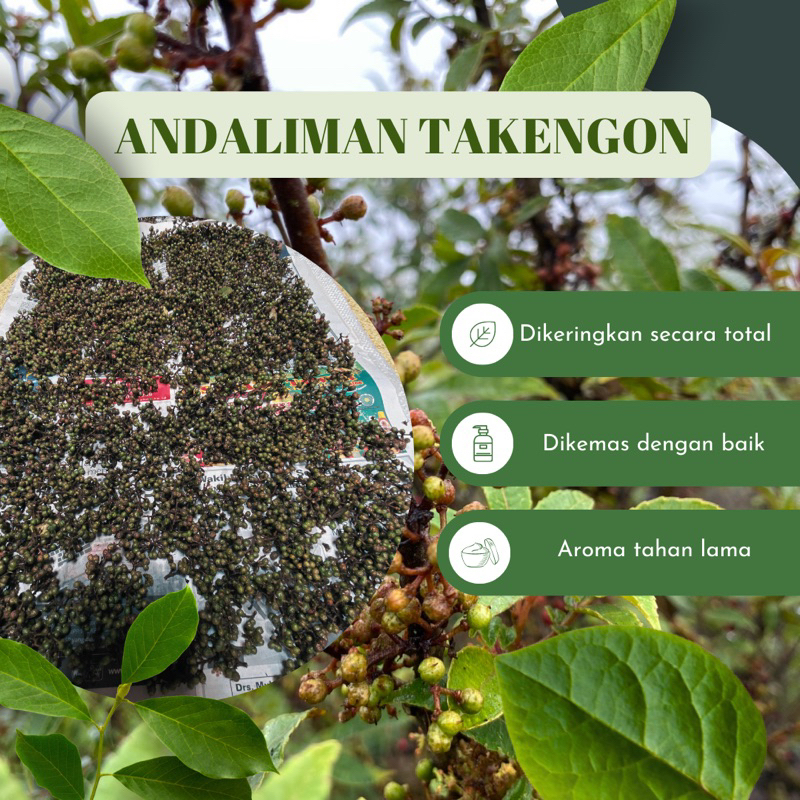 

Andaliman Kering (Sichuan Pepper)