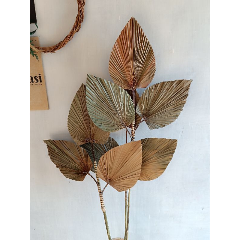 palem stik pampas rayung stik batang bambu dan rayung rakit 13 cabang| dekorasi rustic