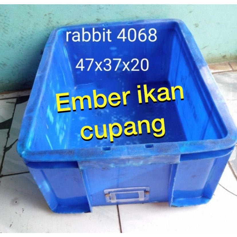 Box Rabbit 4068 Box Rapat Box Ikan Box Magot BOX TANPA TUTUP