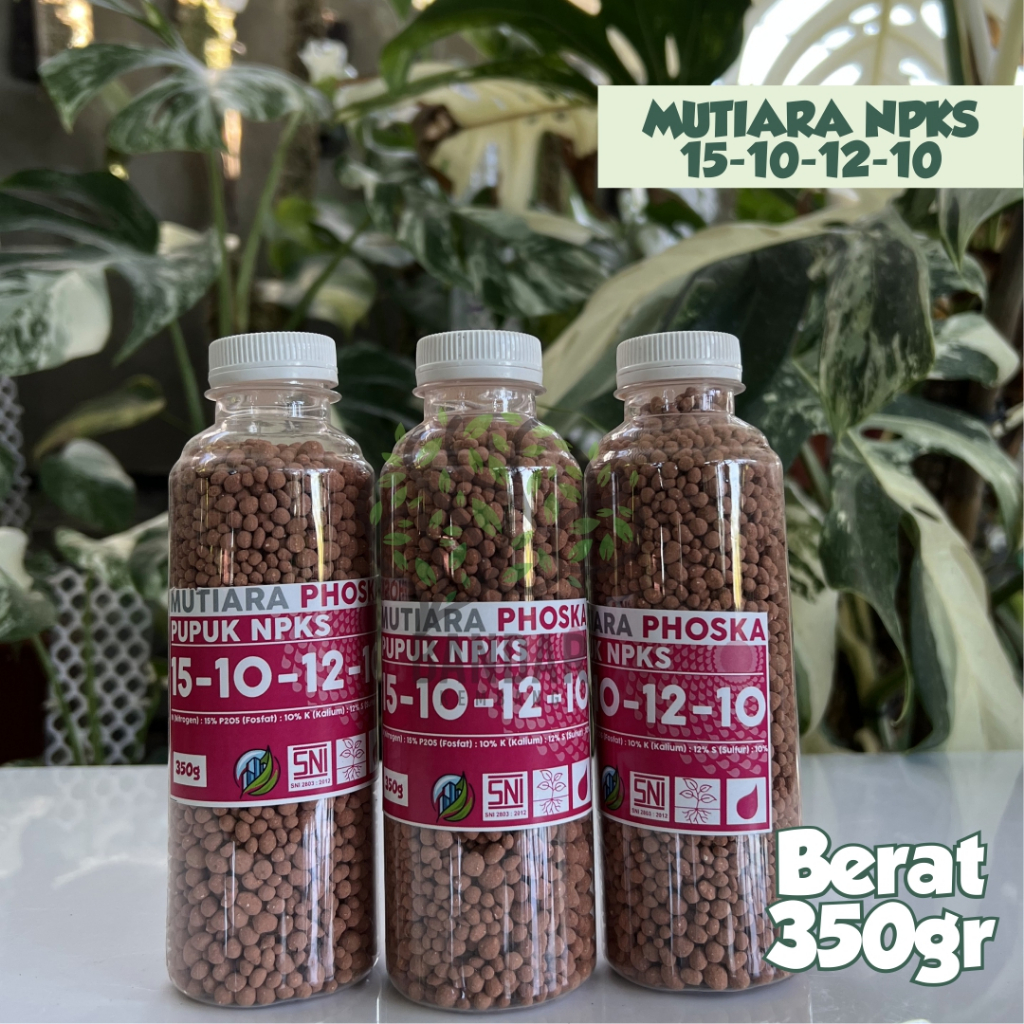 NPK Mutiara NPKS 15-10-12-10 Pupuk Pertumbuhan Pupuk Majemuk
