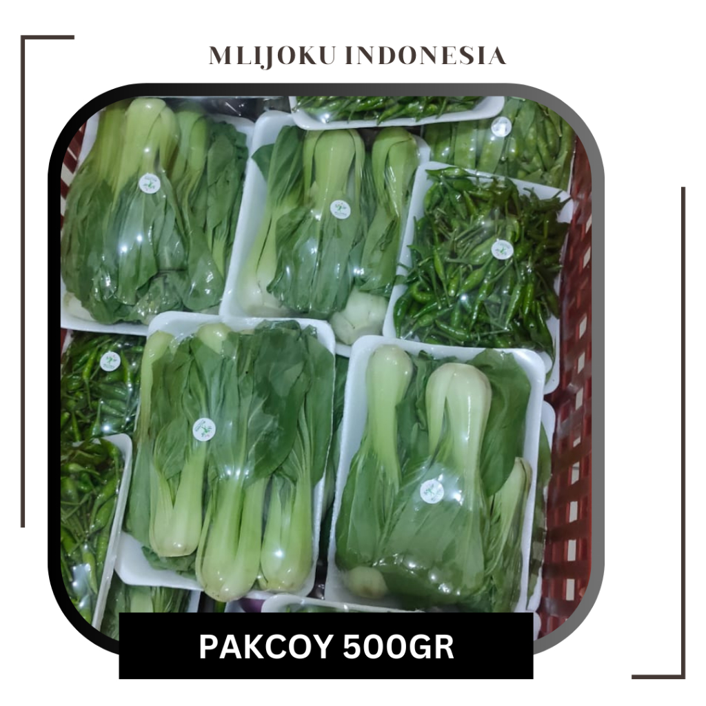 

Pakcoy - Sawi Daging