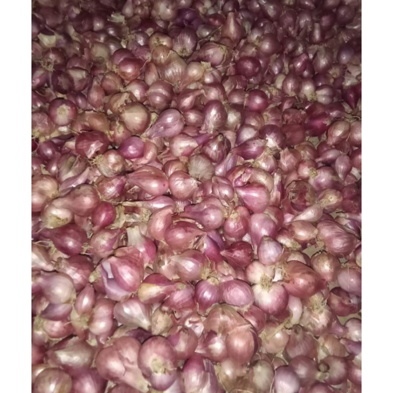 

Bawang merah lokal Bawang brebes 1kg