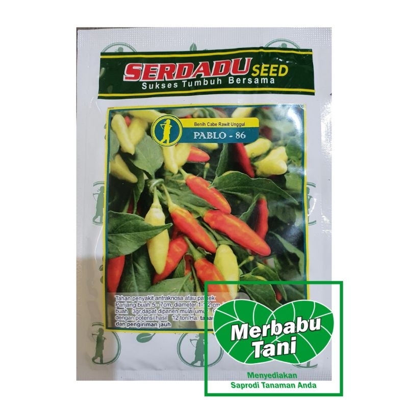 CABAI BERKUALITAS PABLO - 86