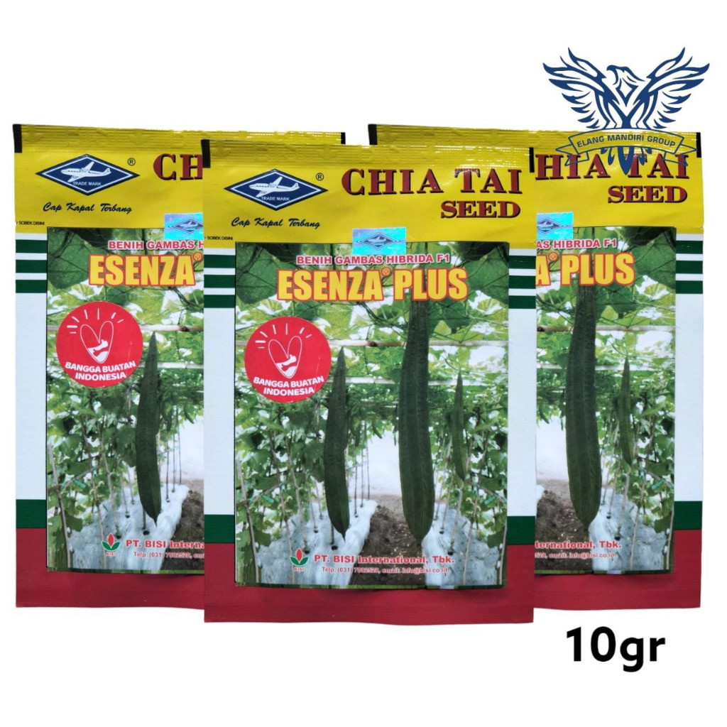 Esenza Plus 10gr Benih Oyong Gambas Hibrida Kapal Terbang Azura