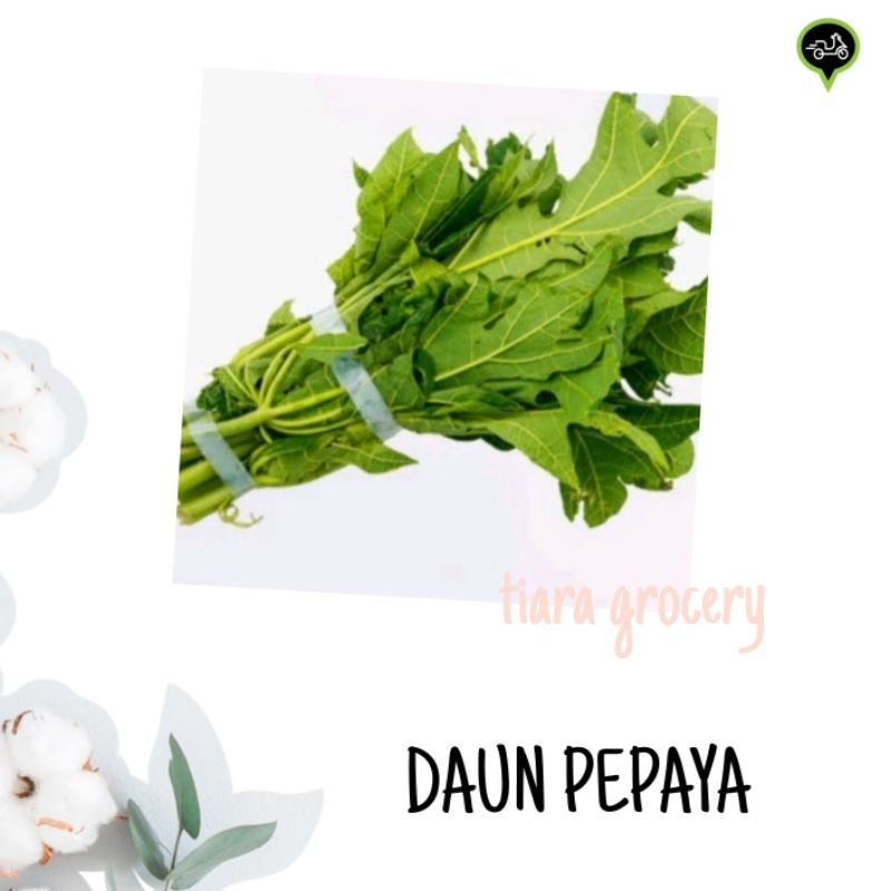 

Daun pepaya biasa / jepang