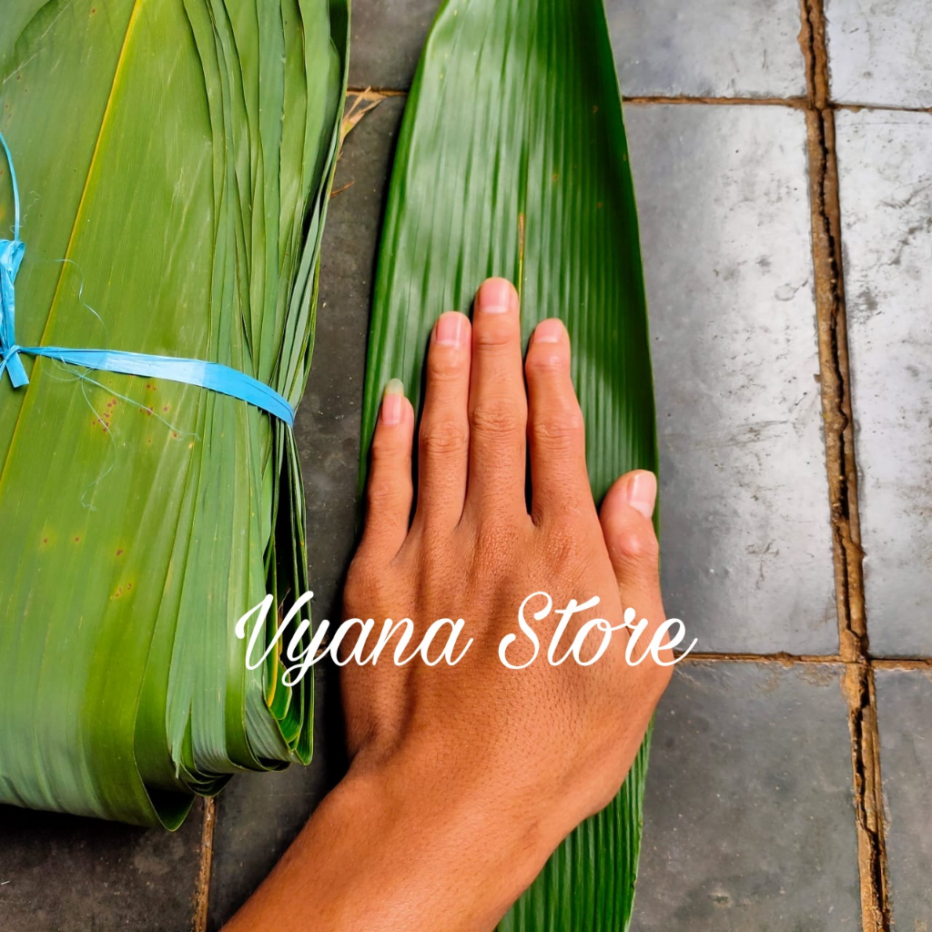 

Daun Bambu Segar 1 kg Bungkus bacang - Bakcang fresh dan herbal