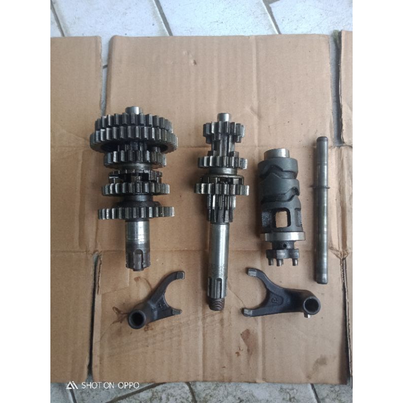 gigi rasio jupiter z jupiter burhan vegar new vegar old orsinil