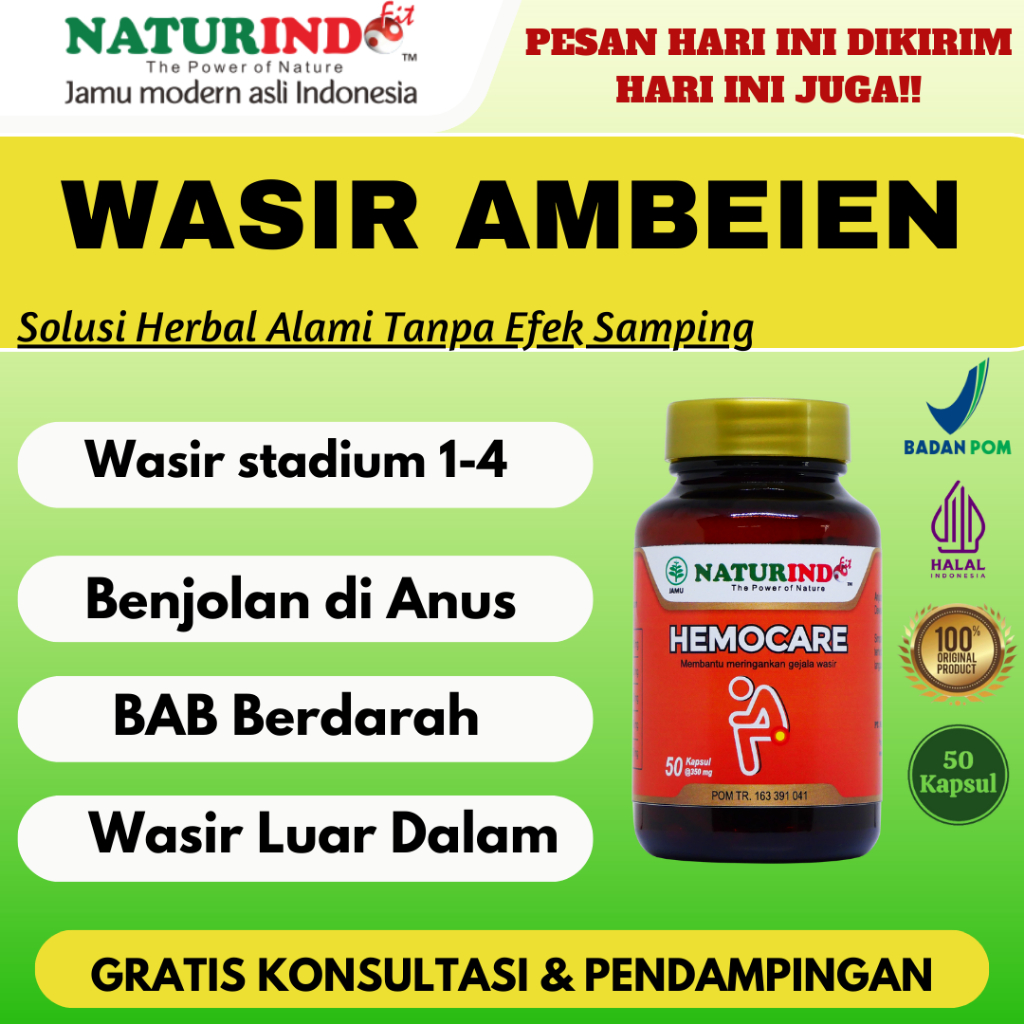 Obat Wasir Ambeien Stadium 4 Bab Berdarah Ampuh
