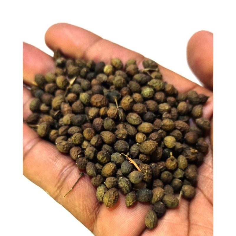 

Biji Kwalot / Melur / Walot 100Gram