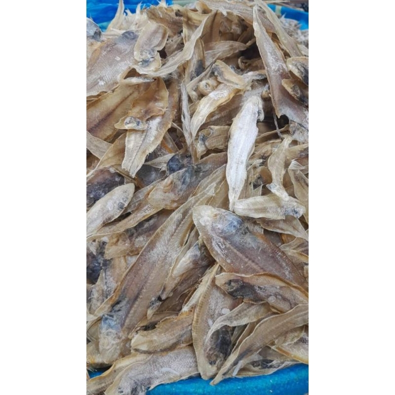 

ikan asin lidah 500gr