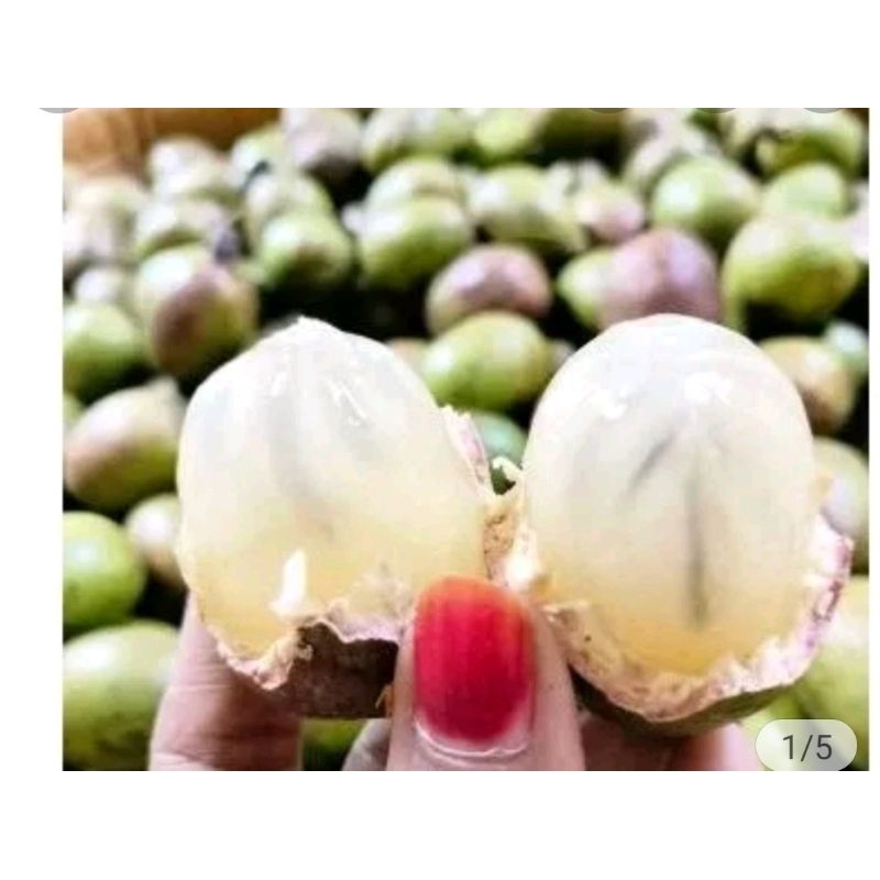 Buah Matoa 3Rasa Durian,Lengkeng,Rambutan.