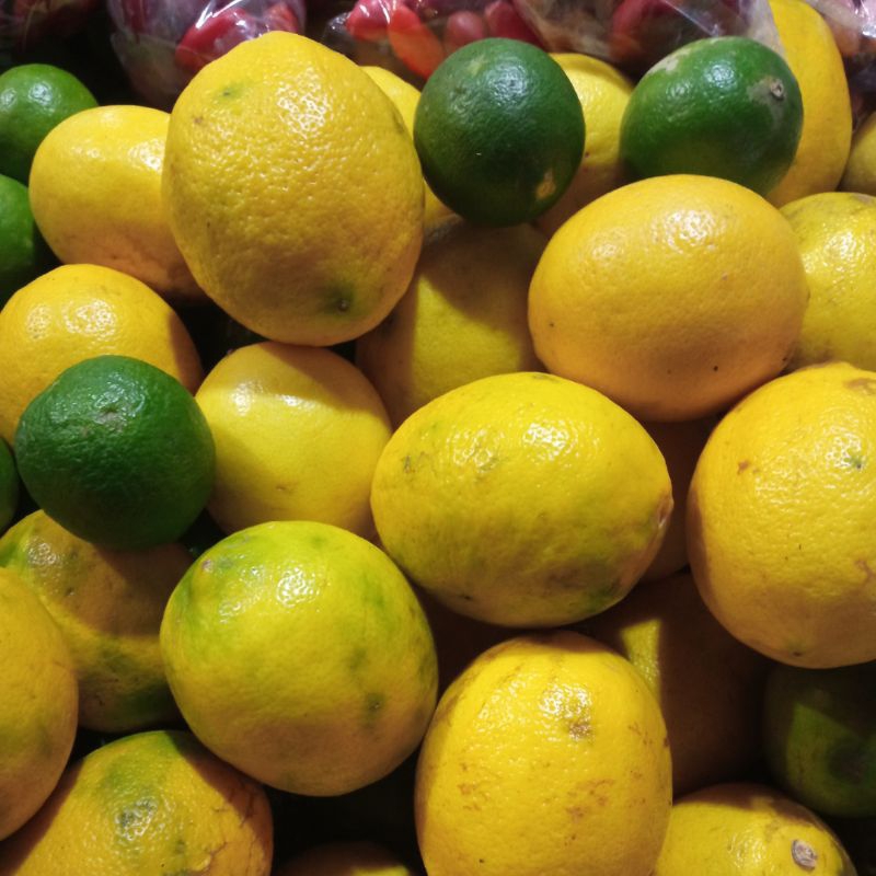 

Lemon California