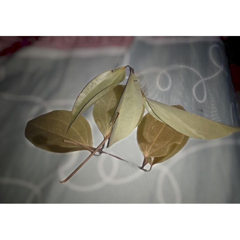 

daun manis jangan kering 1kg