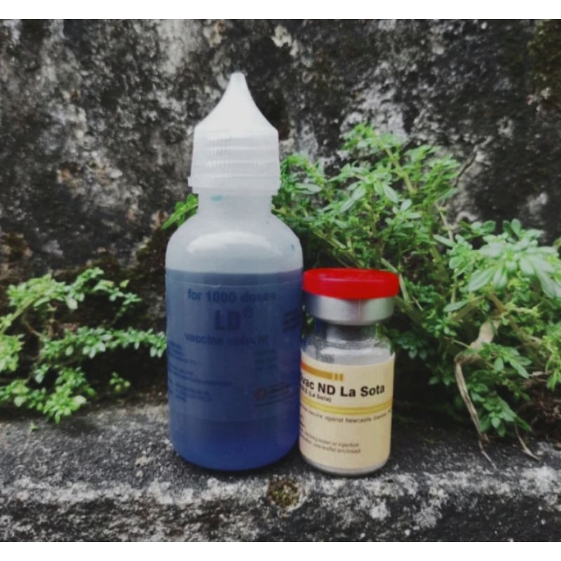 Vaksin Medivac ND Lasota+Larutan Dapar Dosis 1000ekor