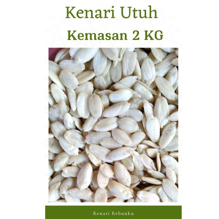 

Kenari berat 2 kg