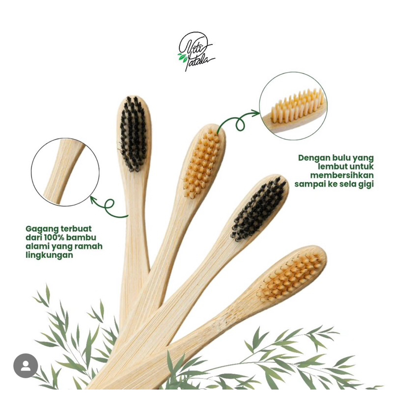Sikat Gigi Bambu