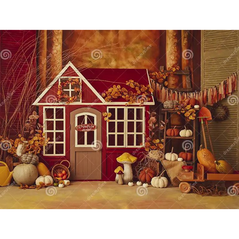 background newborn photography