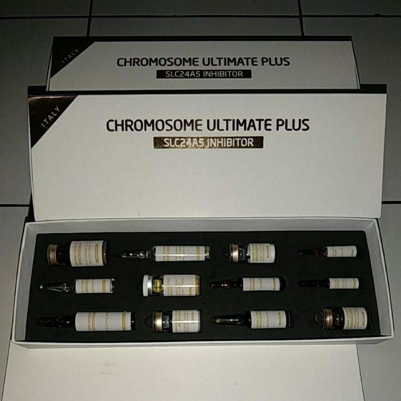CHROMOSOME ULTIMATE plus