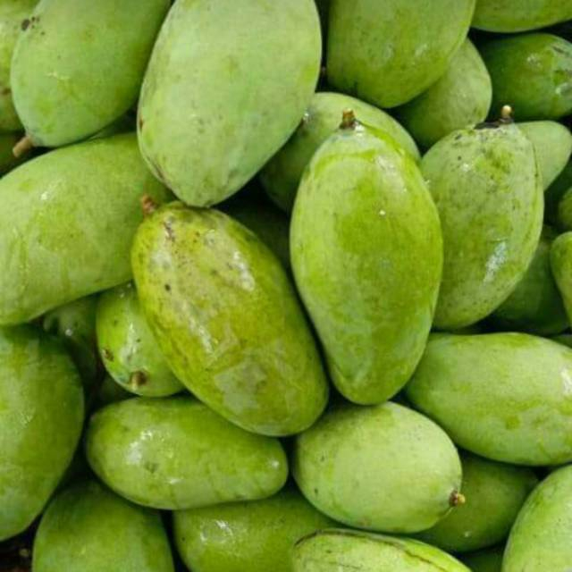 

QUEEN BUAH - Buah mangga muda mangga rujak 1kg