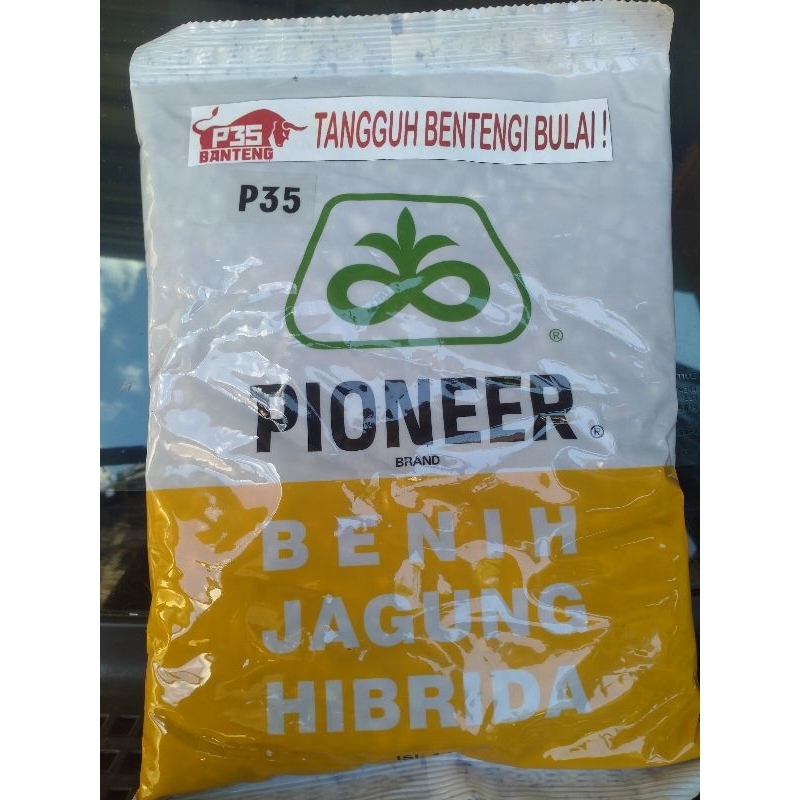 PROMO BENIH JAGUNG HIBRIDA PIONEER P35 BANTENG 1KG TAHAN BULAI