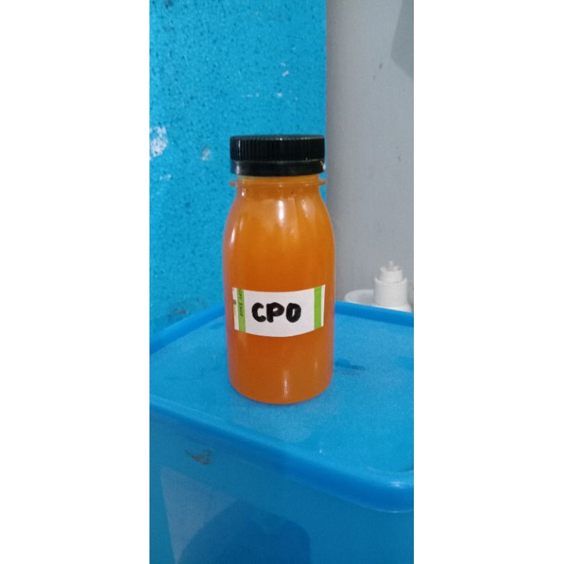 cpo minyak sawit mentah