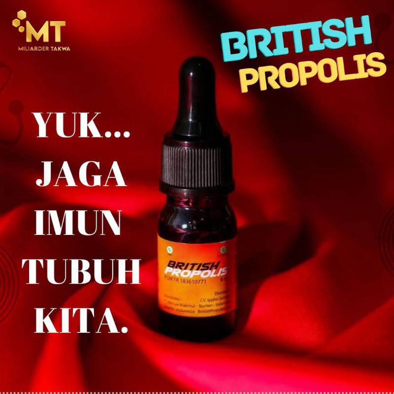 British propolis asli