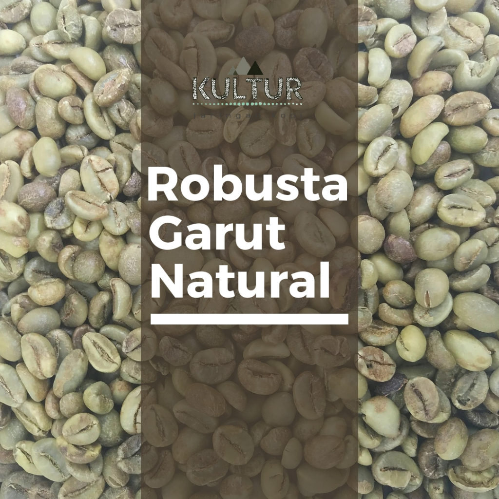 

GREEN BEAN ROBUSTA GARUT NATURAL BIJI KOPI MENTAH NETTO 1 KG