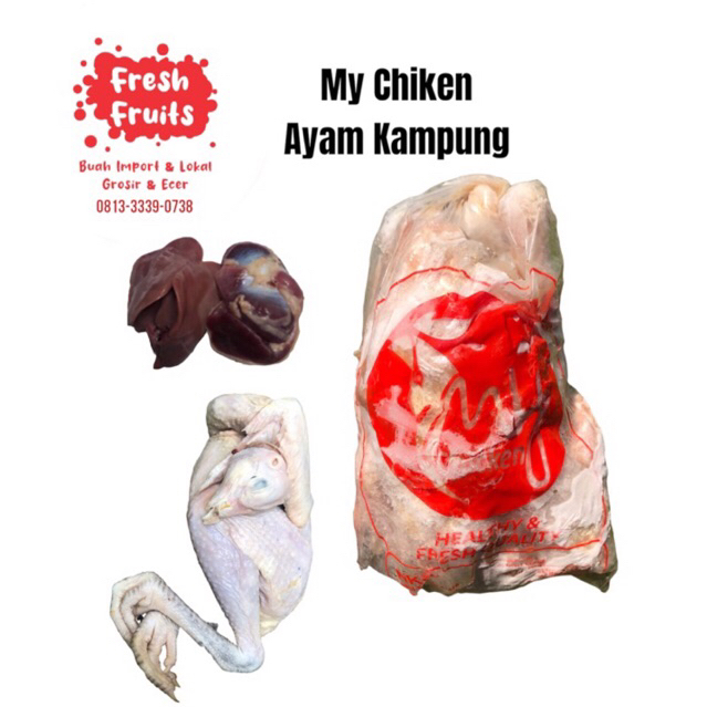 

My Chiken Ayam Kampung 0,670 Kg / Pcs
