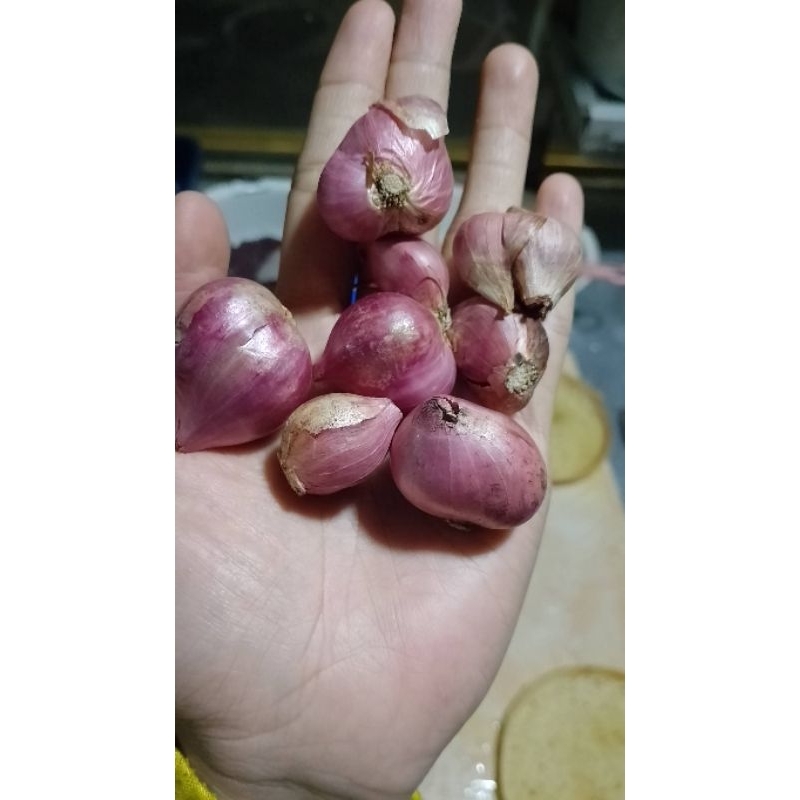 

BAWANG MERAH LOKAL MURAH 1 KG