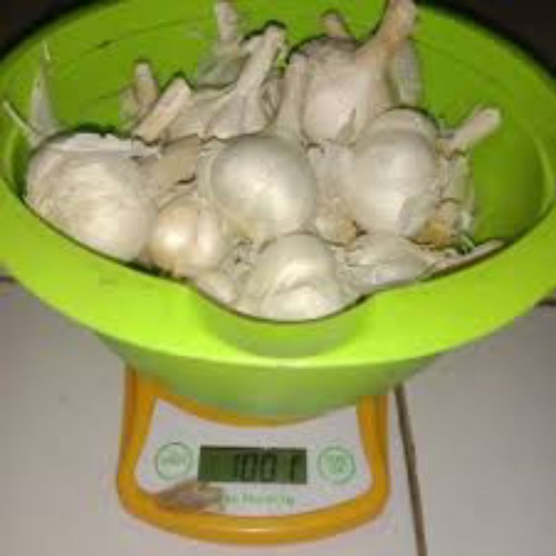 BAWANG PUTIH KATING KOTOR 1KG