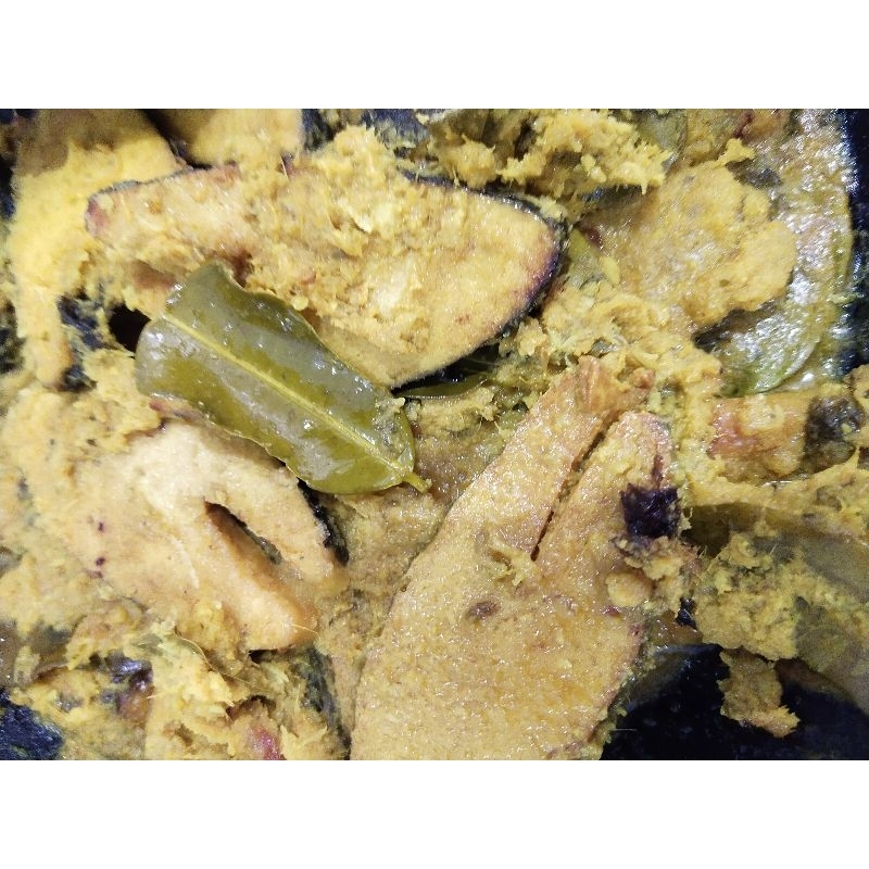 

IKAN NABATI VEGAN KALASAN MENTAH