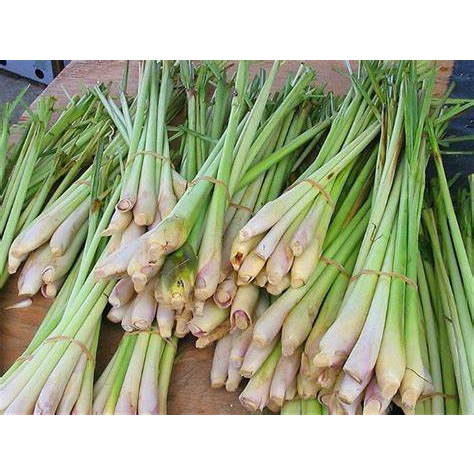 

Serai Sereh Daun Segar Wangi masih Fresh 500 Gram